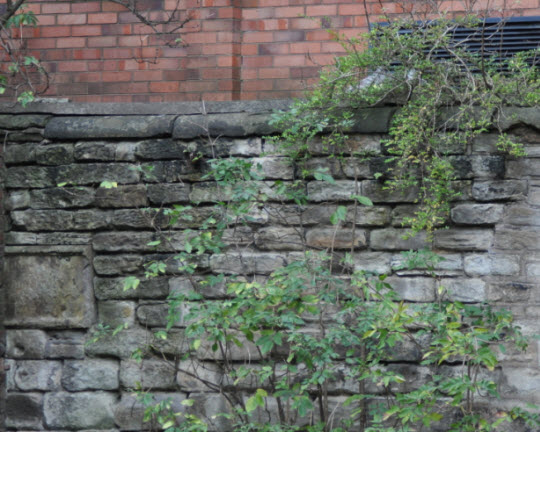 Section of churchyard wall to NE of Church